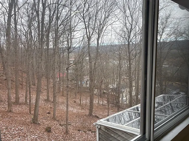 527 Spencer Rd #1 — Photo 10