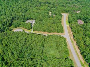 4206 Tranquility View Ct, Montgomery, TX 77316