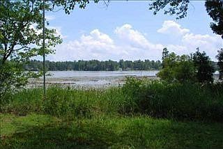 1st image of 916 Sweet Bay Dr