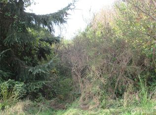 4 Driftwood Dr, Ocean Shores, WA 98569