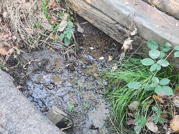 5th image of 14411 Poonkinney Road