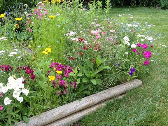 Flower Garden