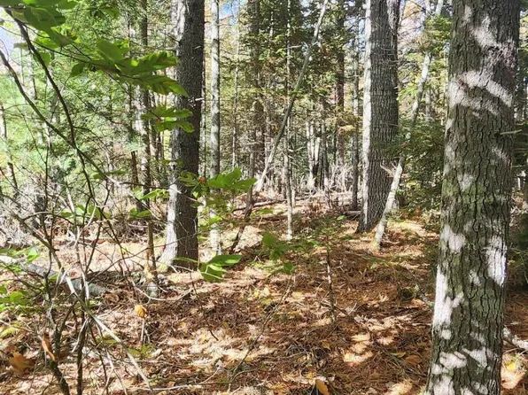 R11L30-2-1 Mariaville Road, Mariaville, ME 04605