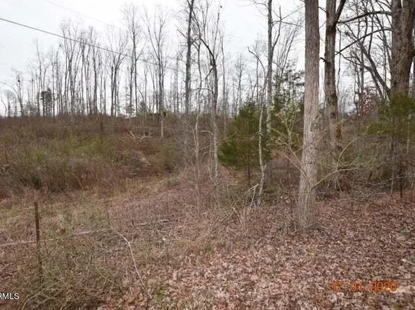 LOT Four Maple Grove Rd #10, Ten Mile, TN 37880