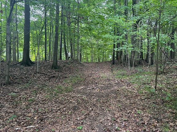 5th image of Ankrapp Rd