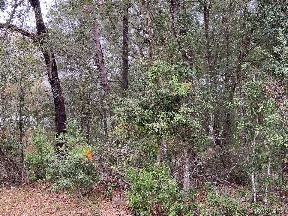 2nd image of 3604 E Maxwell Pl