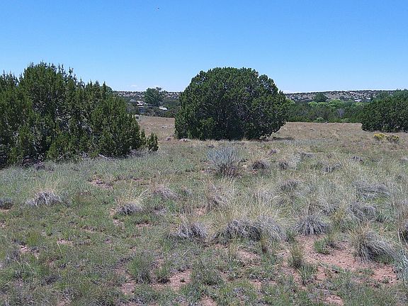 4th image of 13 County Road 5084 #272