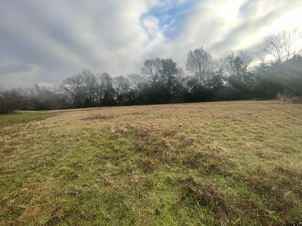 805 Fm 856, Troup, TX 75789