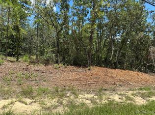 955 W Hampshire Blvd, Citrus Springs, FL 34434