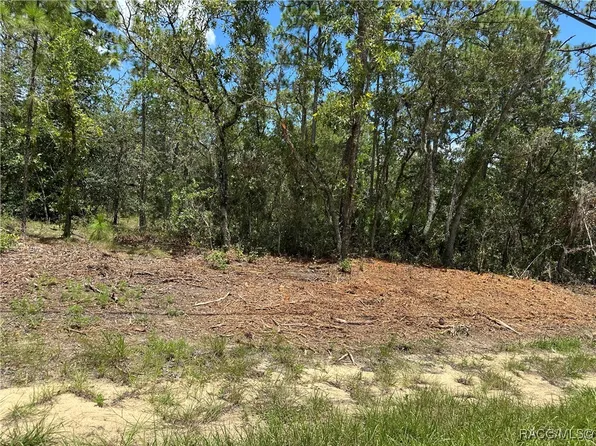 955 W Hampshire Blvd, Citrus Springs, FL 34434