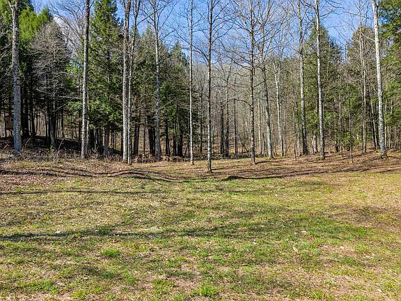 2nd image of 334 Log Cabin Drive