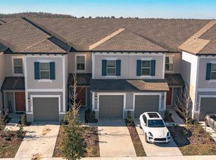 31974 Blue Passing Loop, Wesley Chapel, FL 33545