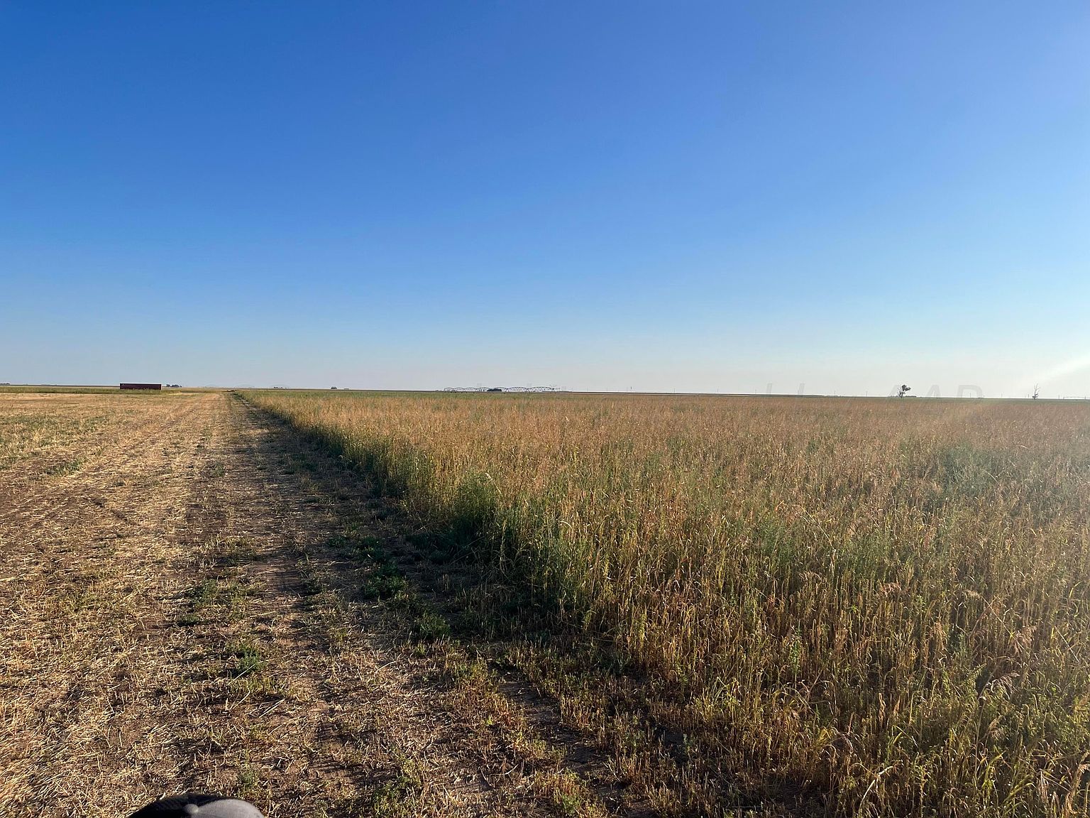 29th, Wildorado, TX 79098 MLS 237143 Zillow