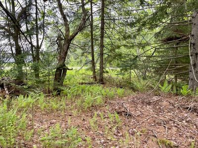 0 Puckerbrush West Road, Hyde Park, VT, 05655
