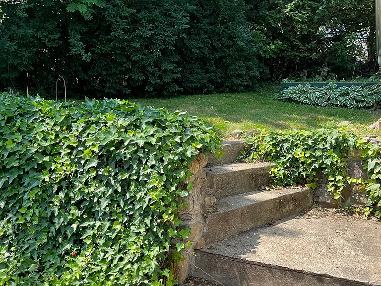 48 Spring Ln — Photo 5
