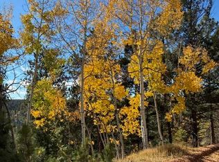 85 Remwood Cir, Divide, CO 80814