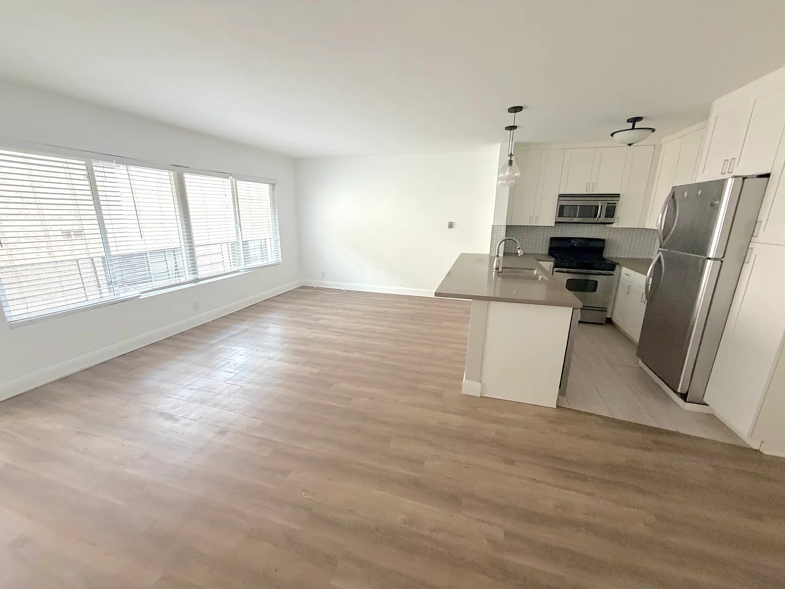 1 bed, 700 sqft, $3,100 — Photo 4
