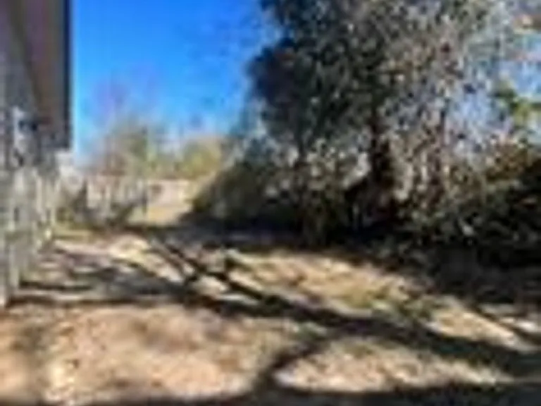 3208 Fawn Dr — Photo 3