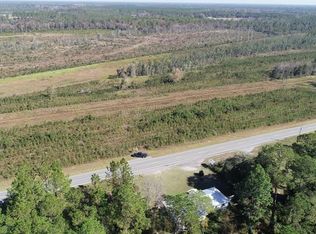 134.18 Acres Hwy #32, Hortense, GA 31543