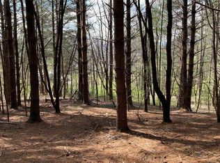 Tole Allison Rd, Mills River, NC 28759