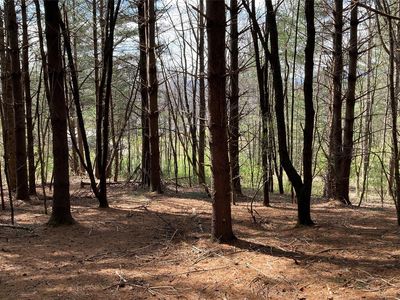 Tole Allison Rd, Mills River, NC, 28759