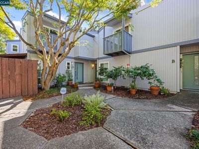 944 Dewing Ave APT C, Lafayette, CA, 94549