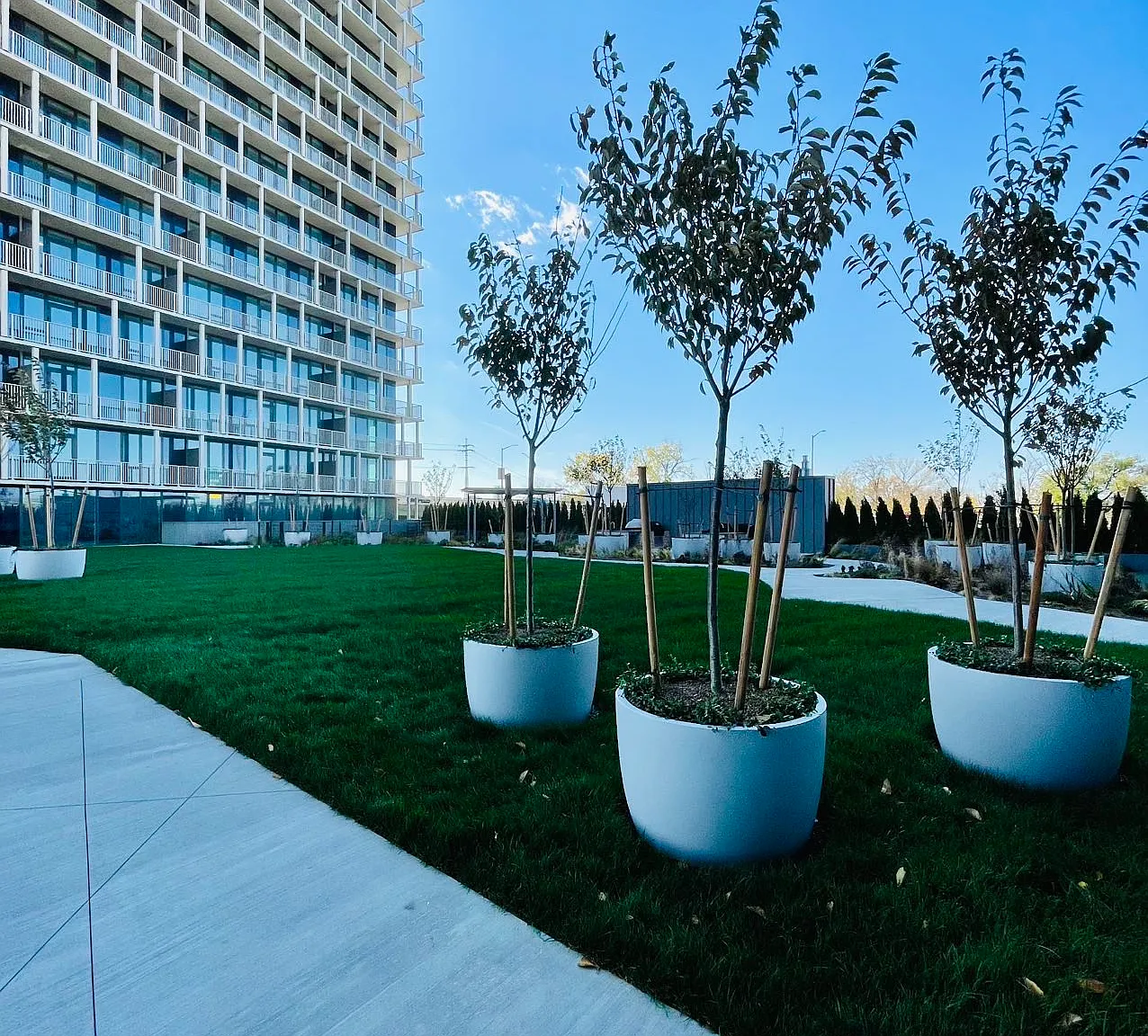 1 bed, 600 sqft, $3,200 — Photo 3