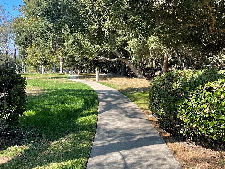 Walking paths behind the units