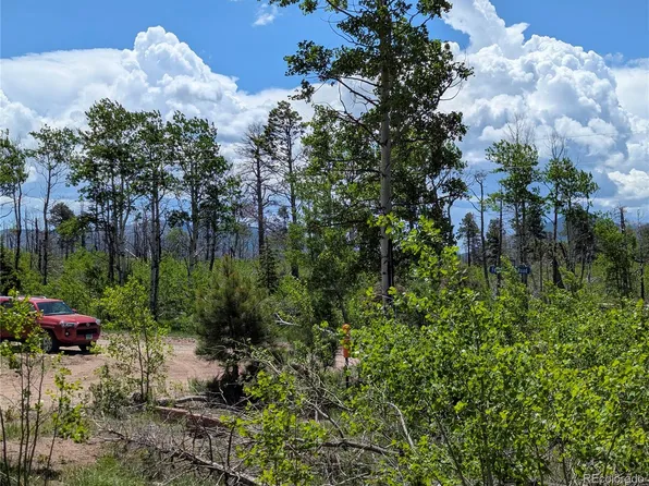 925 Forbes Park Road, Fort Garland, CO 81133