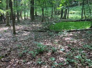 4100 State Highway 357, Franklin, NY 13775