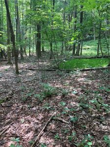 4100 State Highway 357, Franklin, NY, 13775