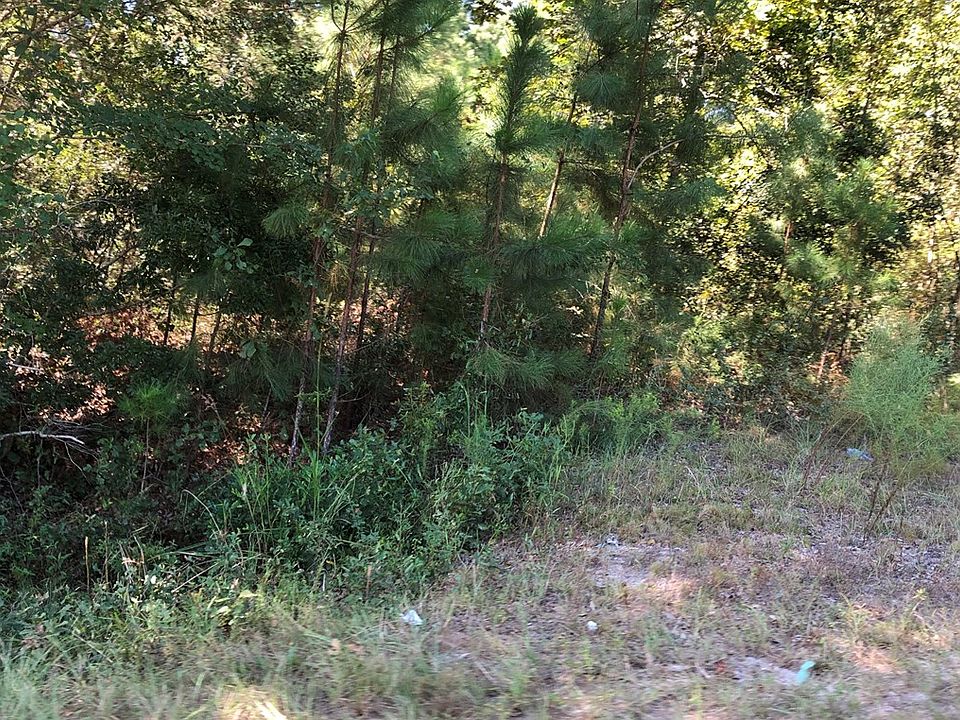 2nd image of 4859 Shiloh Rd