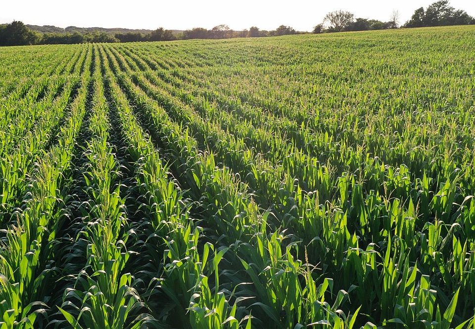 0 140th Ave, Lamoni, IA 50140 MLS 678383 Zillow