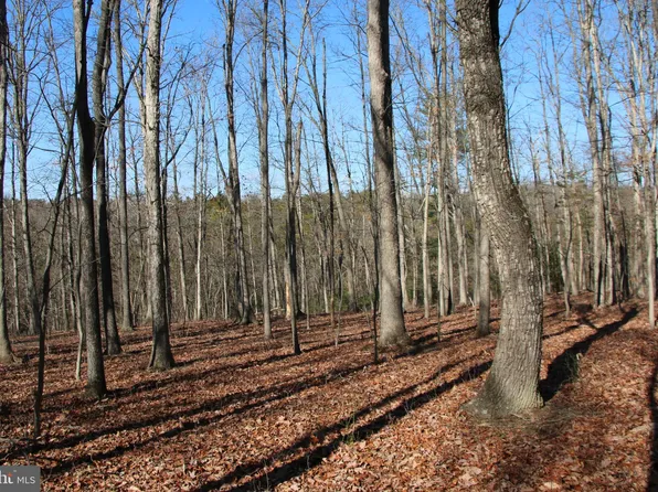 1918 Ridgeway Rd, Front Royal, VA 22630