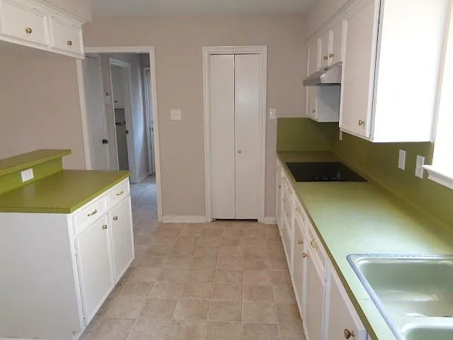 12607 Big Stone Dr — Photo 14