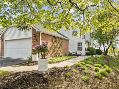 113 Welwyn St #0, Lake Bluff, IL, 60044