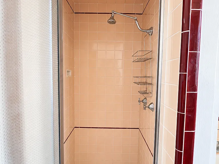 SHOWER with gorgeous tiles