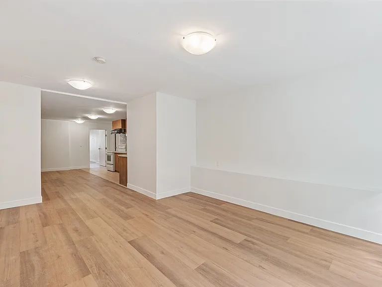 547 E 12th Ave #LOWER LEVEL — Photo 4