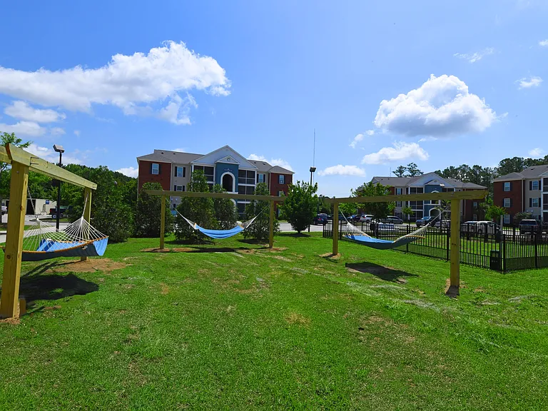 Hammock & Lounge Area