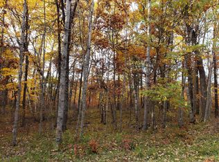 LOT 10 Blue Ridge Dr, Pequot Lakes, MN 56472