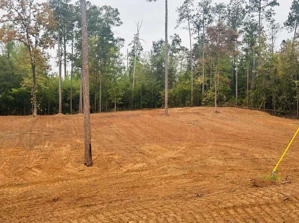 1 Woodland Dr, Abbeville, AL 36310
