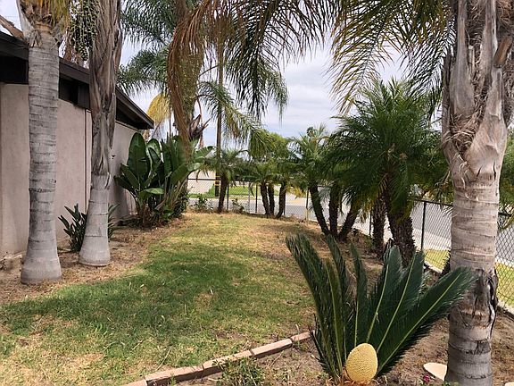 5th image of 18175 Los Palacios Dr