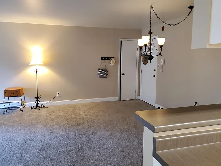 1315 Kirkwood Dr — Photo 6