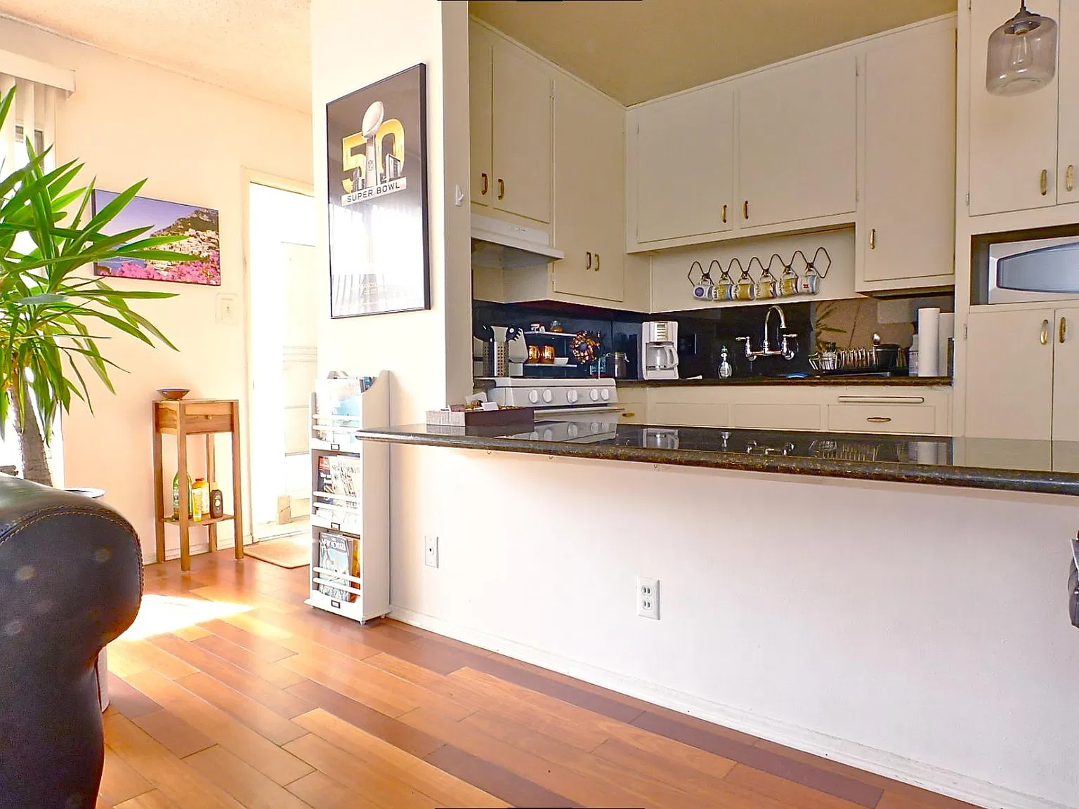 1 bed, 700 sqft, $2,540 — Photo 1