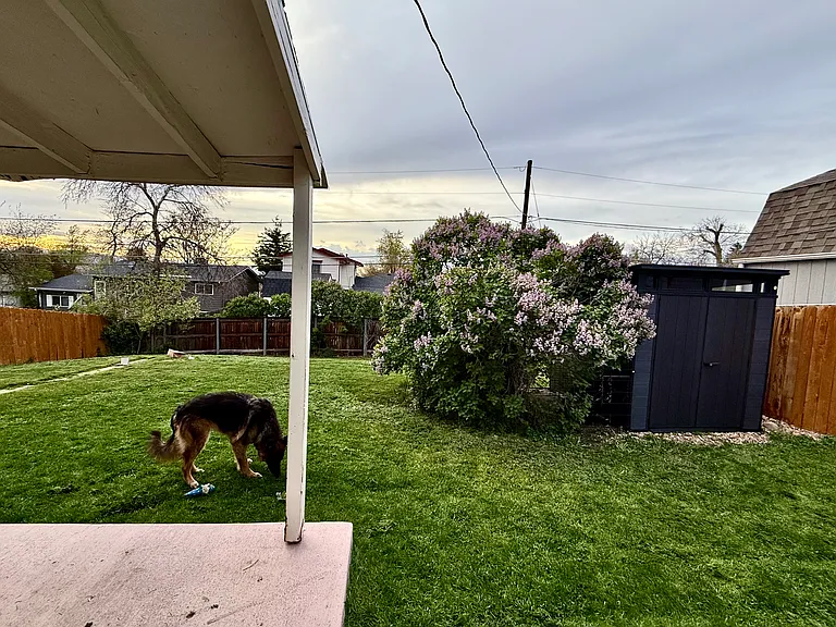 3471 Kellogg Pl — Photo 8