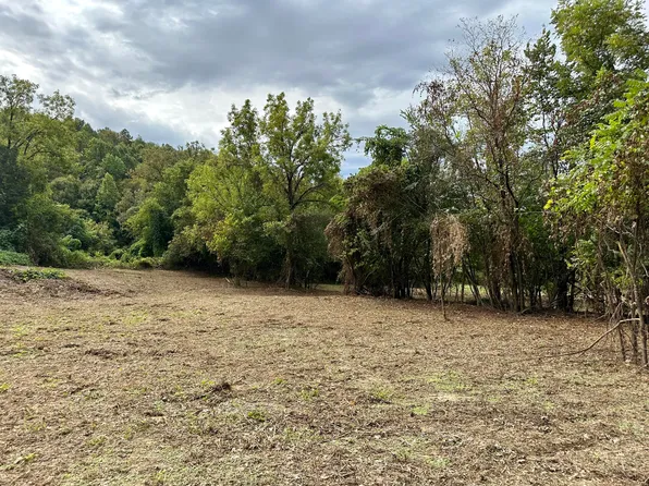 LOT 17 Greasy Cove Rd, Cosby, TN 37722