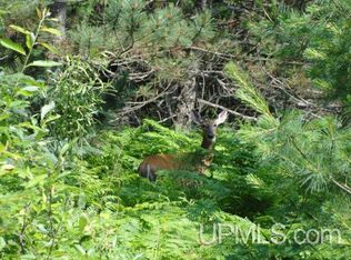 Marek Rd, Pembine, WI 54156