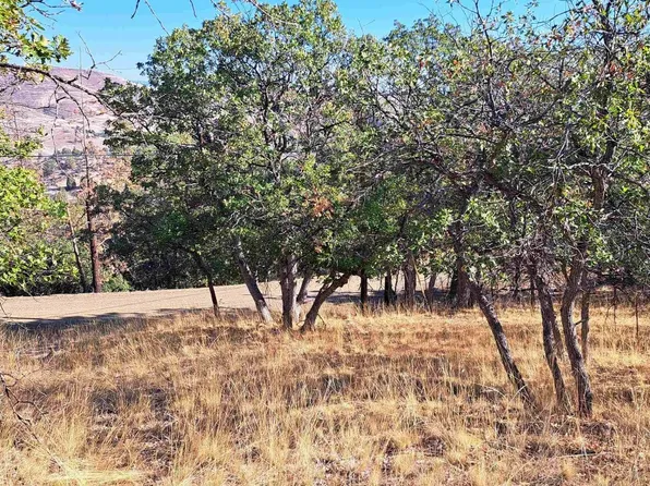 LOT 357 Cougar St, Hornbrook, CA 96044