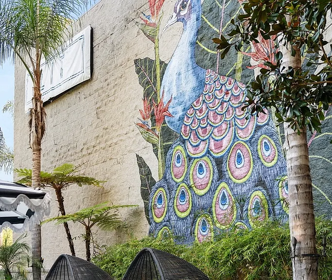 Vera Cortez Hill — Photo 4