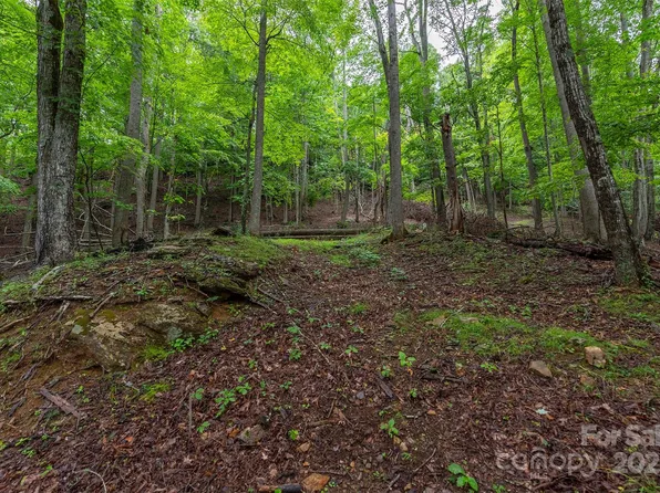 25 Hickory Springs Rd #25, Burnsville, NC 28714